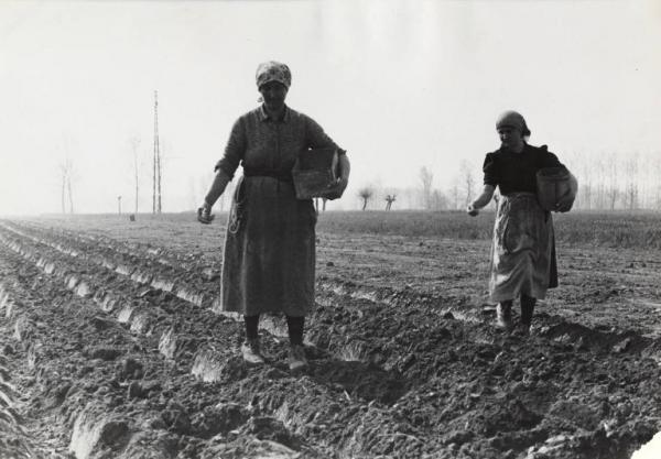 Agricoltura - Semina del mais - Contadine al lavoro