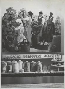 Bari - Fiera del Levante del 1939 - Padiglione Montecatini - Sala prodotti chimici
