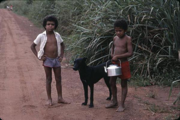 Brasile - Mato Grosso - Azienda agricola Mogno - Ritratto di bambini con cane