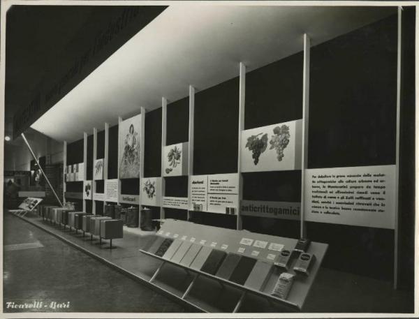 Bari - Fiera del Levante del 1954 - Padiglione Montecatini - Stand dedicato ai fertilizzanti, insetticidi e anticrittogamici