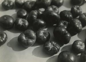 Agricoltura - Natura morta - Pomodori