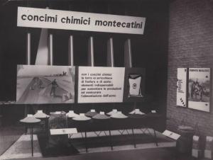 Verona - Fiera dell'agricoltura del 1954 - Stand Montecatini - Prodotti per l'agricoltura - Concimi chimici