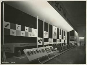 Bari - Fiera del Levante del 1954 - Padiglione Montecatini - Stand dedicato ai fertilizzanti, insetticidi e anticrittogamici