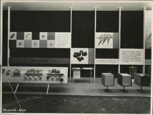 Bari - Fiera del Levante del 1954 - Padiglione Montecatini - Stand dedicato agli insetticidi