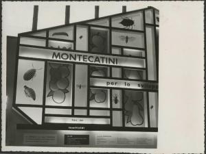 Verona - Fiera dell'agricoltura del 1956 - Stand Montecatini dedicato ai prodotti per l'agricoltura - Pannelli illustrativi