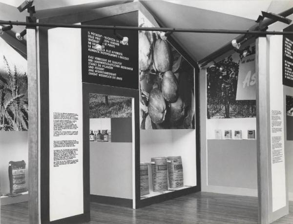 Bolzano - Fiera campionaria internazionale del 1960 - Interno del Padiglione Montecatini - Stand materie plastiche per l'agricoltura allestito con pannelli fotografici - Potassio
