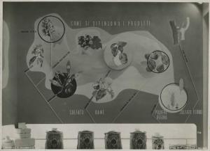Milano - Fiera campionaria del 1939 - Padiglione Montecatini - Sala prodotti chimici per l'agricoltura - Anticrittogamici