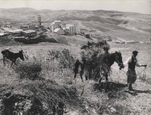 [Sardegna] - Miniera - Contadino con mulo e cavallo