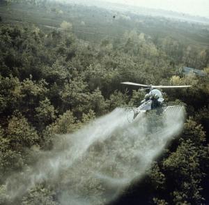 Agricoltura - Lotta antiparassitaria - Trattamento aeragricolo delle colture - Elicottero Agusta Bell 47 G