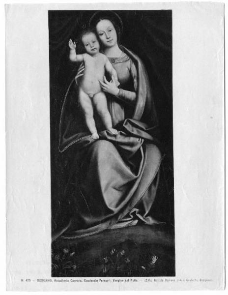 Dipinto - Madonna col Bambino - Gaudenzio Ferrari - Bergamo - Accademia Carrara - Pinacoteca