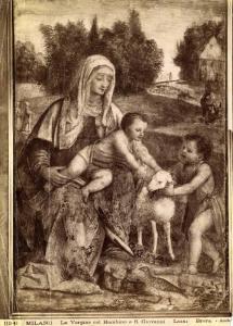 Dipinto - La Vergine col Bambino e S. Giovanni - Bernardino Luini - Milano - Brera - Pinacoteca