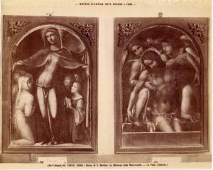 Dipinti - Madonna della misericordia/ Pietà - Sodoma - Siena - Chiesa di S. Martino