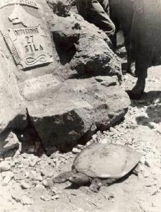 Campagna di Etiopia - Stele commemorativa del 19° Fanteria Divisione Sila