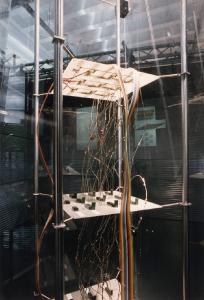 XVIII Triennale - Mostre tematiche - La natura delle cose - L'intelligenza delle cose - Computer neuronico
