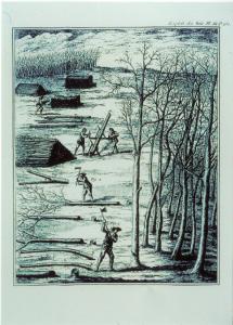 XVIII Triennale - Mostre tematiche - I boschi di Maria Teresa - Riproduzione di tavola sullo sfruttamento del bosco