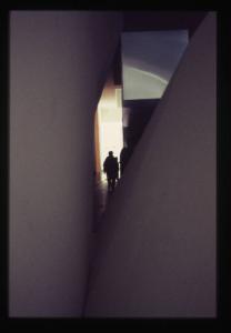 XIX Triennale - Mostra introduttiva interna - Gli immaginari della differenza - "Delirium" progetto di Peter Eisenman
