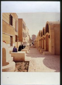 XIX Triennale - Le partecipazioni internazionali - Riflessioni trasversali - The Aga Khan Program for Islamic Architecture, MIT - Parco culturale per bambini a Il Cairo