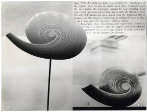 XI Triennale - Mostra internazionale dell'Industrial Design - Vano dedicato a Tapio Wirkkala - Scultura in legno di conchiglia ammonite