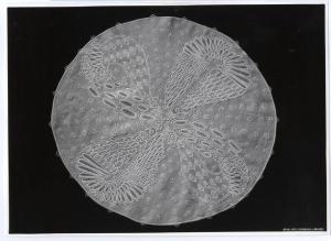 XI Triennale - Mostra delle Produzioni d'arte - Sezione dei pizzi, ricami, alabastri - Centro ricamato su bisso - Nino Strada