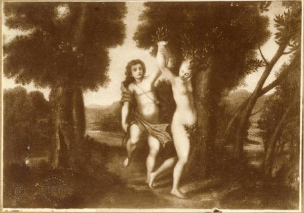 Apollo e Dafne - Dipinto