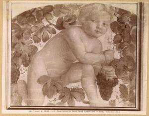 Luini, Bernardino - Putto in ginocchio su un tralcio di vite - Affresco staccato - Parigi - Museo del Louvre