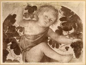 Luini, Bernardino - Putto seduto tra i pampini di vite - Affresco staccato - Milano - Pinacoteca di Brera