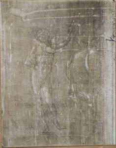 Bellini, Giovanni - Sei schizzi: Efebo in piedi accanto ad un cavallo (part.) - Disegno