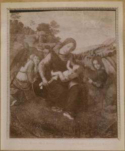 Piero di Cosimo? - Madonna con Bambino e Angeli - Dipinto su tavola - Milano - Collezione Borromeo