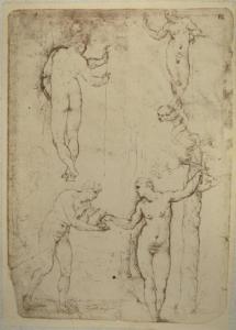 Cesare da Sesto - Studi di Figure - Adamo ed Eva - Schizzi - Disegno