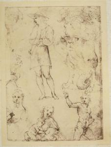 Cesare da Sesto - Studi di figure maschili e femminili, gruppo con Madonna con Bambino e san Giovannino - Schizzi - Disegno