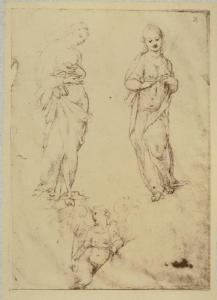 Cesare da Sesto - Studi di due sante e figura alata - Schizzi - Disegno