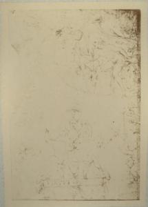 Cesare da Sesto - Studi di figure grottesche - Schizzo - Disegno