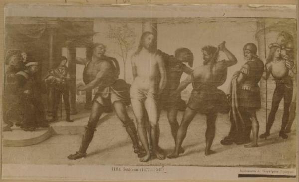 Bazzi, Giovanni Antonio detto Sodoma - Flagellazione di Cristo - Dipinto - Budapest - Museo di Belle Arti (Szépmüvészeti Múzeum)