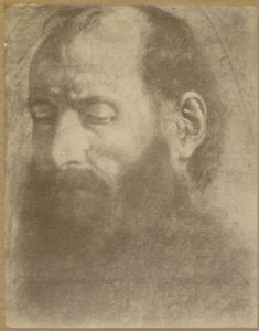 Savoldo, Giovanni Gerolamo (attr.) - Testa di monaco - Studio - Disegno