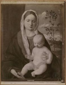 Bellini, Giovanni - Madonna con Bambino - Dipinto - Olio su tavola - Roma - Galleria Borghese