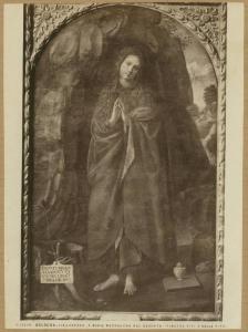 Viti, Timoteo - Santa Maria Maddalena - Dipinto su tavola - Bologna - Pinacoteca Nazionale