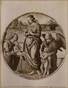 Vannucci, Pietro detto Perugino (attr.) - Adorazione del Bambino con san Giovannino e angeli - Dipinto su tavola - Verona - Museo di Castelvecchio