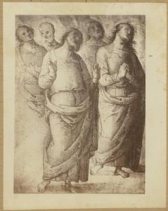 Vannucci Pietro detto Perugino - Cinque apostoli - Studio per l'Assunzione della Madonna nel Duomo di Napoli - Disegno