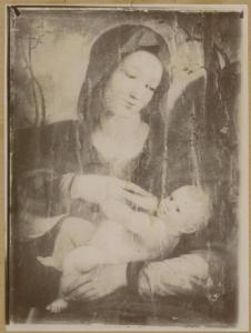Ambito del Sodoma - Madonna con Bambino - Dipinto su tavola