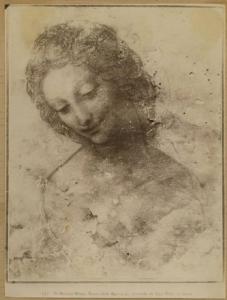 Autore leonardesco - Testa di donna (Leda?) - Disegno - Milano - Museo Civico