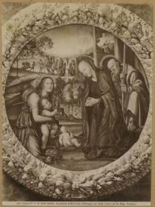 Bazzi, Giovanni Antonio detto Sodoma - Adorazione del Bambino con san Giuseppe, san Giovannino e un angelo - Dipinto su tavola - Siena - Accademia di Belle Arti
