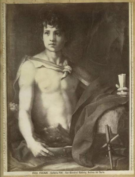 Andrea d'Agnolo detto Andrea del Sarto - San Giovanni Battista - Dipinto su tavola - Firenze - Palazzo Pitti