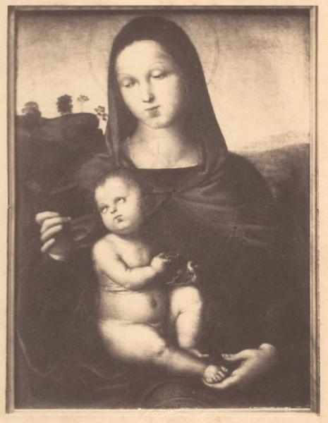 Sanzio, Raffaello - Madonna con Bambino (Madonna Solly) - Dipinto - Olio su tavola - Berlino - Staatliche Museen - Gemäldegalerie