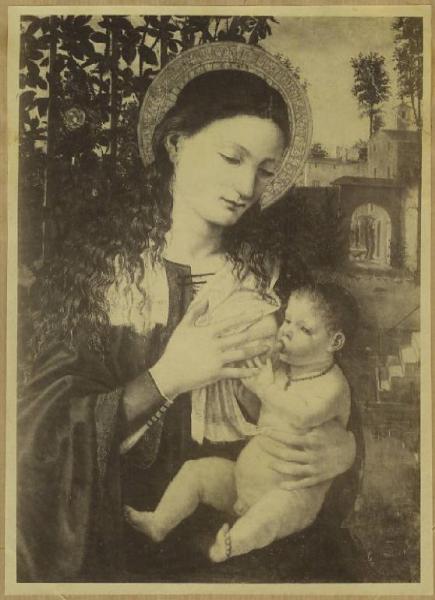 Ambrogio da Fossano detto Bergognone - Madonna con Bambino (Madonna del Latte) - Dipinto - Olio su tavola - Bergamo - Pinacoteca dell'Accademia Carrara