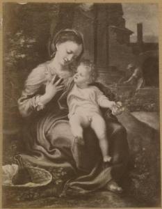Allegri, Antonio detto Correggio - Madonna della cesta - Dipinto - Olio su tavola - Londra - National Gallery