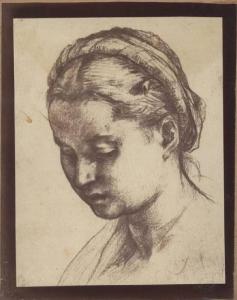 Andrea d'Agnolo detto Andrea del Sarto - Testa di giovane donna che guarda in basso - Disegno - Parigi - Ecole des Beaux-Arts