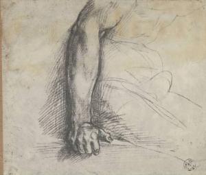 Andrea d'Agnolo detto Andrea del Sarto - Studio per braccio destro di figura seduta - Disegno - Firenze - Uffizi - Gabinetto dei Disegni e delle Stampe