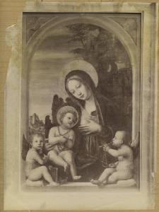 Zenale, Bernardino - Madonna con Bambino e due angeli musicanti - Dipinto - Olio su tavola - Brescia - Collezione Lianazza