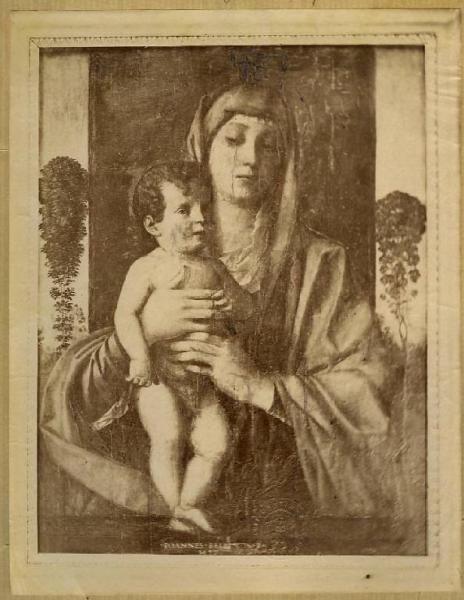 Bellini, Giovanni - Madonna con Bambino (Madonna degli Alberetti) - Dipinto - Olio su tavola - Venezia - Accademia di Belle Arti (Gallerie dell'Accademia)