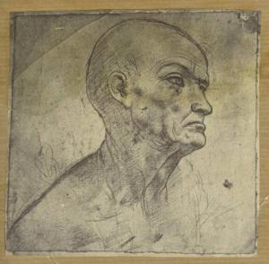 Disegnatore lombardo fine sec. XV inizio sec XVI - Profilo maschile - Studio di testa - Disegno - Milano - Biblioteca Ambrosiana